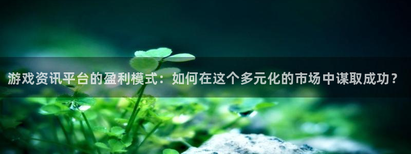 长征娱乐游戏：游戏资讯平台的盈利模式：如何在这个多元化的市场