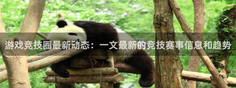 长征娱乐网页登录入口下载：游戏竞技圈最新动态：一文最新的竞技