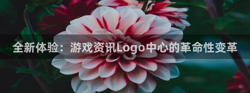 长征娱乐登录：全新体验：游戏资讯Logo中心的革命性变革