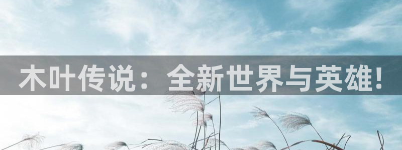 长征娱乐代理登陆：木叶传说：全新世界与英雄!