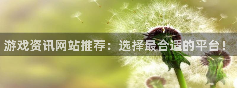 长征娱乐测速：游戏资讯网站推荐：选择最合适的平台！