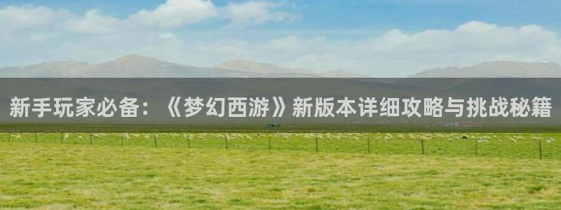 长征娱乐网址官网：新手玩家必备：《梦幻西游》新版本详细攻略与