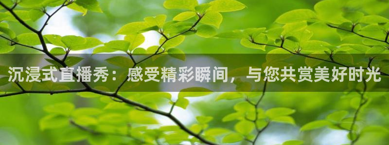51视频在线直播nba：沉浸式直播秀：感受精彩瞬间，与您共赏美好时光